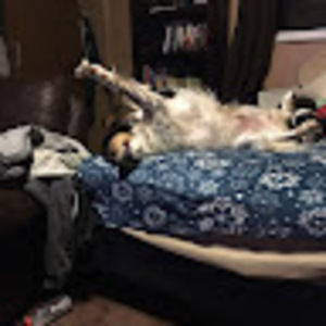 Meet your Posher, Kim